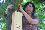 o.blaat (Keiko Uenishi)